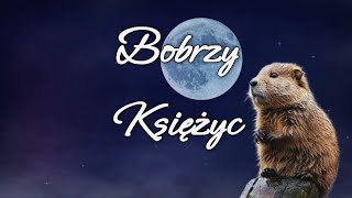 Bobrzy Księżyc  listopad 2024 🌕 ❄ [upl. by Ahseinek]