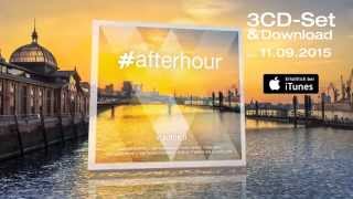 afterhour 8 official minimix [upl. by Alleusnoc]