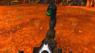 WoW Cataclysm Guide  Scorpion Mount and A VERY MANLY STAFF [upl. by Saleem906]