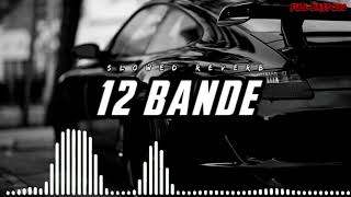 12 BANDE SLOWED REVERB LOFI SONG FULL BASS [upl. by Nnairb366]