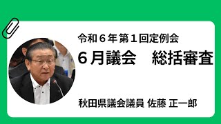 【佐藤正一郎 議員】令和6年第1回定例会6月議会・総括審査（7月2日） [upl. by Hannavas14]