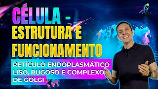 Célula  Estrutura e Funcionamento  Retículo Endoplasmático Liso Rugoso e Complexo de Golgi [upl. by Atirb]