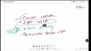 Visual Pathway Special Sense [upl. by Christin]