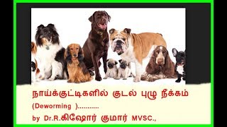 Deworming schedule for Puppies and Dogs  நாய்களில் குடற்புழு நீக்ககம் [upl. by Ashton899]