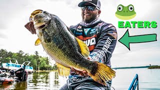 Lake Murray MLF Pro Circuit Spawning Bass [upl. by Zelma]