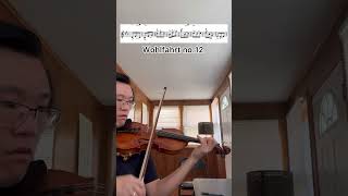 Wohlfahrt no12 violin violinist violinmusic wohlfahrt violintures classicalmusic orchestra [upl. by Ayojal]