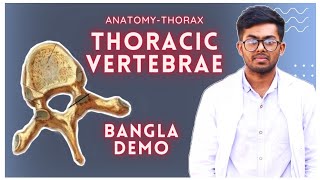 Typical Thoracic Vertebra Bangla DemonstrationThorax Card whiteapron thorax demonstration [upl. by Airretnahs175]