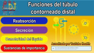 Nefrología I Introducción a las funciones de la nefrona [upl. by Canter]