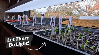 Do hardware store LED panels work as grow lights Gardening in Portugal [upl. by Rowell]