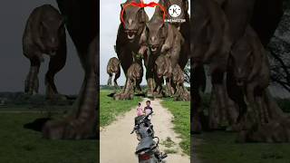 dinosaur trex chase part581youtubeshorts dinosaur trex jurassicworld dinosarfight shorts vfx [upl. by Ainimre]