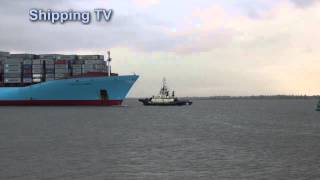 Shipspotters Sunday Special 25 Charlotte Maersk [upl. by Ocirrej614]