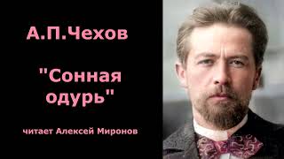 АПЧехов quotСонная одурьquot [upl. by Asiar]