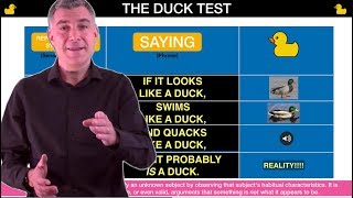 NLP Representational Systems Simply Explained using The Duck Test [upl. by Candida]