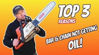 This STIHL Chainsaw Is Not Oiling The Bar amp Chain STIHL HUSQVARNA Etc [upl. by Einad374]