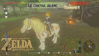 Le Cheval Blanc Cheval Princesse Zelda  harnachement crinière sur Zelda Breath of The Wild BotW [upl. by Dyche]