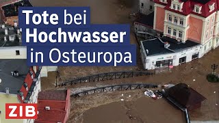 Rumänien Polen und Tschechien unter Wasser  ZIB1 vom 15092024 [upl. by Ahsieym]