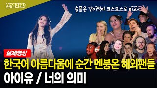 해외반응 아이유 ‘너의 의미’ 재미있는 해외반응 모음  한국인에게도 심오한 내용의 가사 외국인 반응은 [upl. by Nihhi]