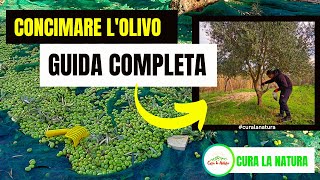 Come e Quando CONCIMARE LOLIVO [upl. by Ihc30]