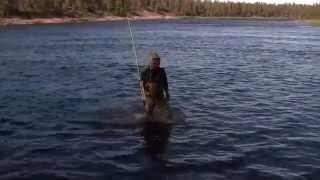 Flyfishing in Swedish Lapland Lainio river [upl. by Elise510]