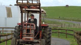 The New Zealand Farming Story Tackling Agricultural Emissions [upl. by Maltzman]