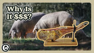 Why People Pay So Much for Iberian Ham [upl. by Ahtrim28]