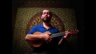 quotBus Stopquot 6 string ukulele cover Dan Amgine [upl. by Haidebej]