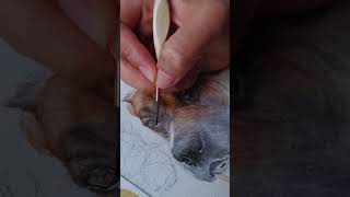 Watercolor Painting using Holbein WC and baohong WC paper watercolor petpainting art [upl. by Tnarud]