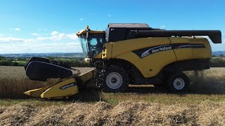 Combining time the oats are first using a New Holland CX740 in the Black Mountains Part 1 Oats [upl. by Hamford]