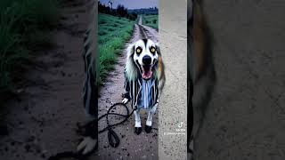 Beetlejuice Filter 2 This Thing Works Perfect australianshepherd funnydogvideo filters [upl. by Yrreg]