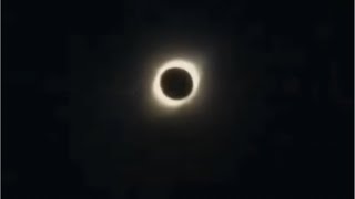 SOLAR ECLIPSE APRIL 8 2024 LIVE [upl. by Ayhay]