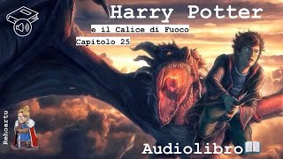 Audiolibro  Harry Potter e il calice di fuoco  Lettura e Commento Cap 25 [upl. by Ynaiffit]