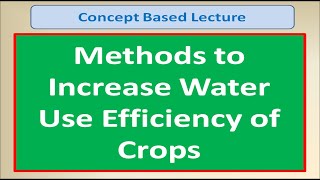 Methods to Increase Water Use Efficiency of Crops [upl. by Gordy463]