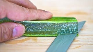 How to Make Aloe Vera Gel in 90 Seconds [upl. by Pelage362]