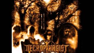 Necrophagist  Ignominious amp Pale HQ [upl. by Yelsnit]