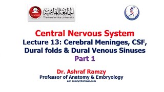 Lecture 13  Cerebral Meninges CSF Dural folds amp Dural Venous Sinuses Part 1  CNS [upl. by Aihppa]