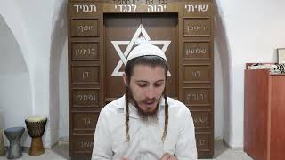 Parshat Ki Tavo  Breslev [upl. by Gavra]