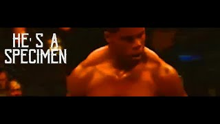 HERSCHEL WALKER  MMA JOURNEY [upl. by Anitsrik]