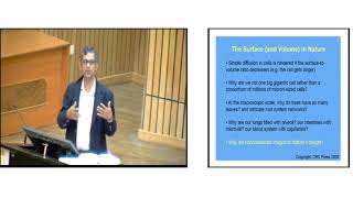 Lecture  05 Nanomaterials Surfaces and Interfaces I [upl. by Hales]