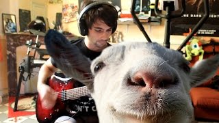 Goat Simulator goes Rock [upl. by Kuehnel]