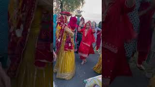 Man jee ta pyari laga tu chhori ghani haseen sa viralvideo dance youtuberjaatni youtubeshorts [upl. by Yasmin829]