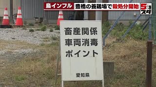 【鳥インフルエンザ】豊橋の養鶏場で発生 殺処分開始 愛知で約12年ぶり 2022年12月5日 [upl. by Dirgis]