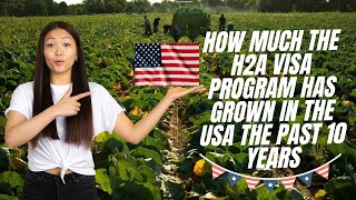 Does the H2A Visa program have a future for farms in America  h2a [upl. by Adlar]