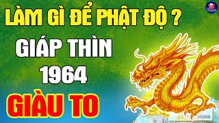 CẢNH BÁO GIÁP THÌN 1964 Làm Gì Để Được Phật Độ Tài Lộc Bùng Nổ Phú Quý Triền Miên [upl. by Eiten]