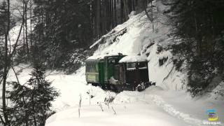 ТУ4 зі снгоочистником Вигодська вузькоколійка  TU4 with Snowplough in Vigoda [upl. by Chae342]