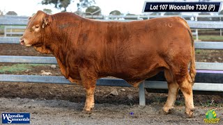 Lot 107 Woonallee T330 P [upl. by Jacoba807]