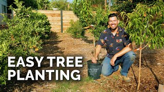 How to Grow Fruit Trees in Small Spaces [upl. by Saref]