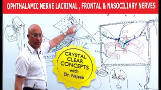 Cranial Nerve 5 Examination  Trigeminal Nerve Assessment for Physiotherapists [upl. by Raknahs554]