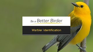 Be a Better Birder Warbler Identification [upl. by Yarised152]