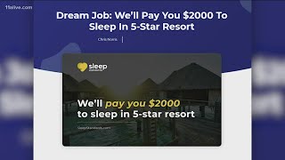 Want to get paid to sleep at a 5star resort Here are the dream job details [upl. by Dallman62]