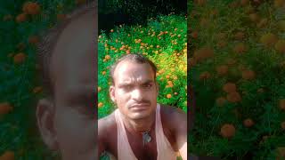 kskskdkdkd vishalmishrasongs vishalpandit dance song mrvishalsingh12 vishalsingh [upl. by Llatsyrk]